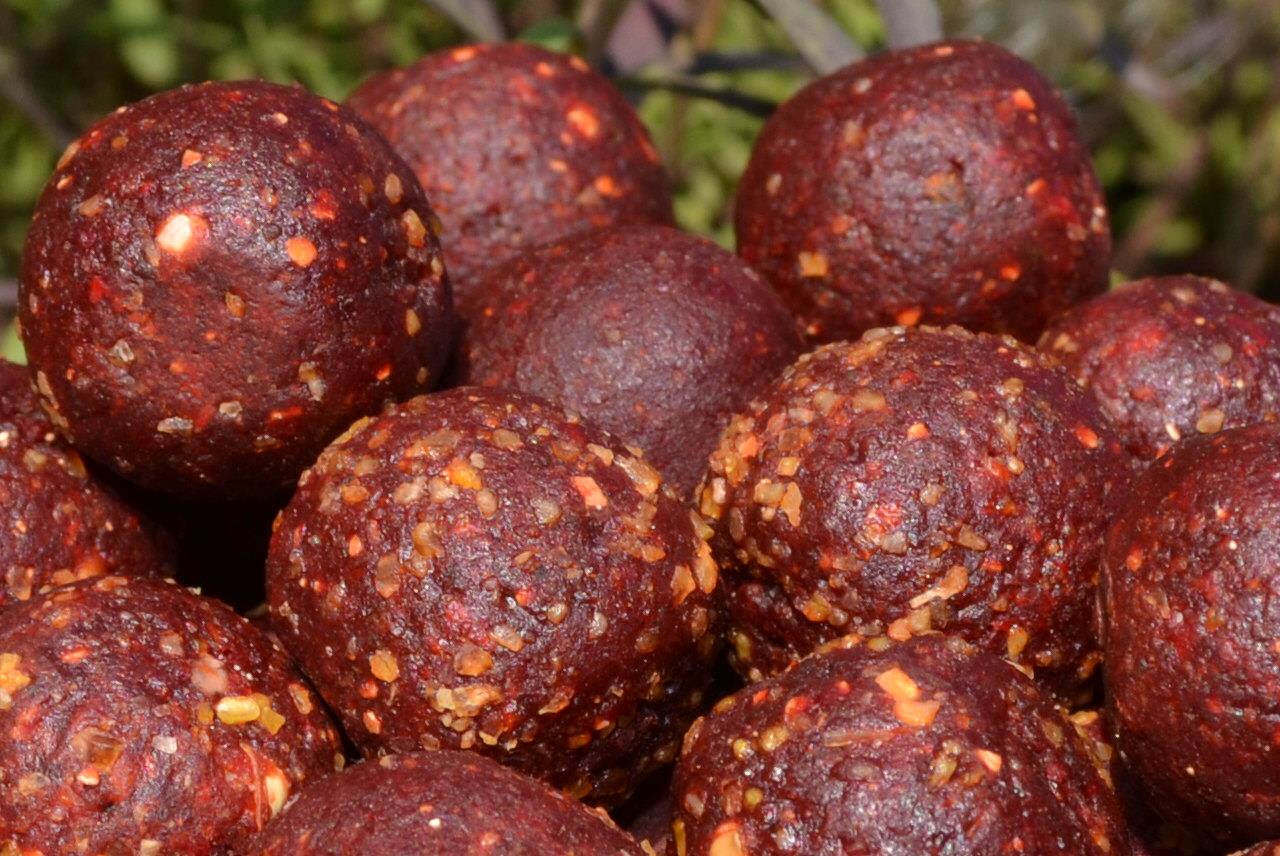 Cips Baits 2015 - csc1695.JPG